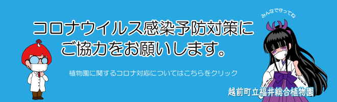 新型コロナウイルス感染拡大防止のためのお願い