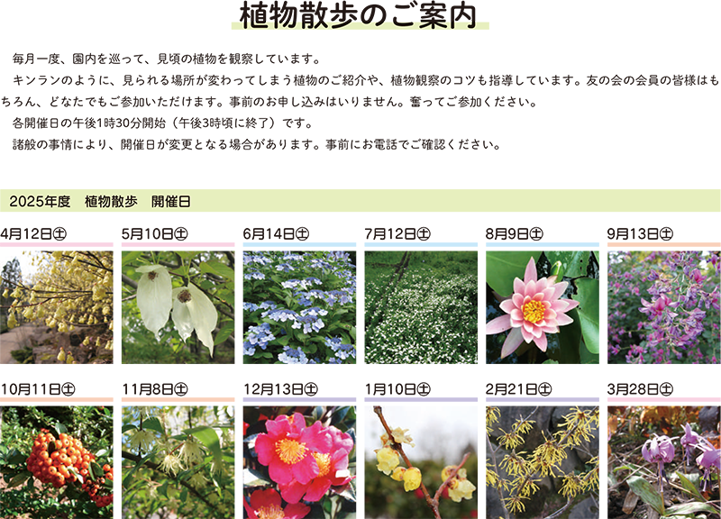 植物散歩のご案内 2025年度